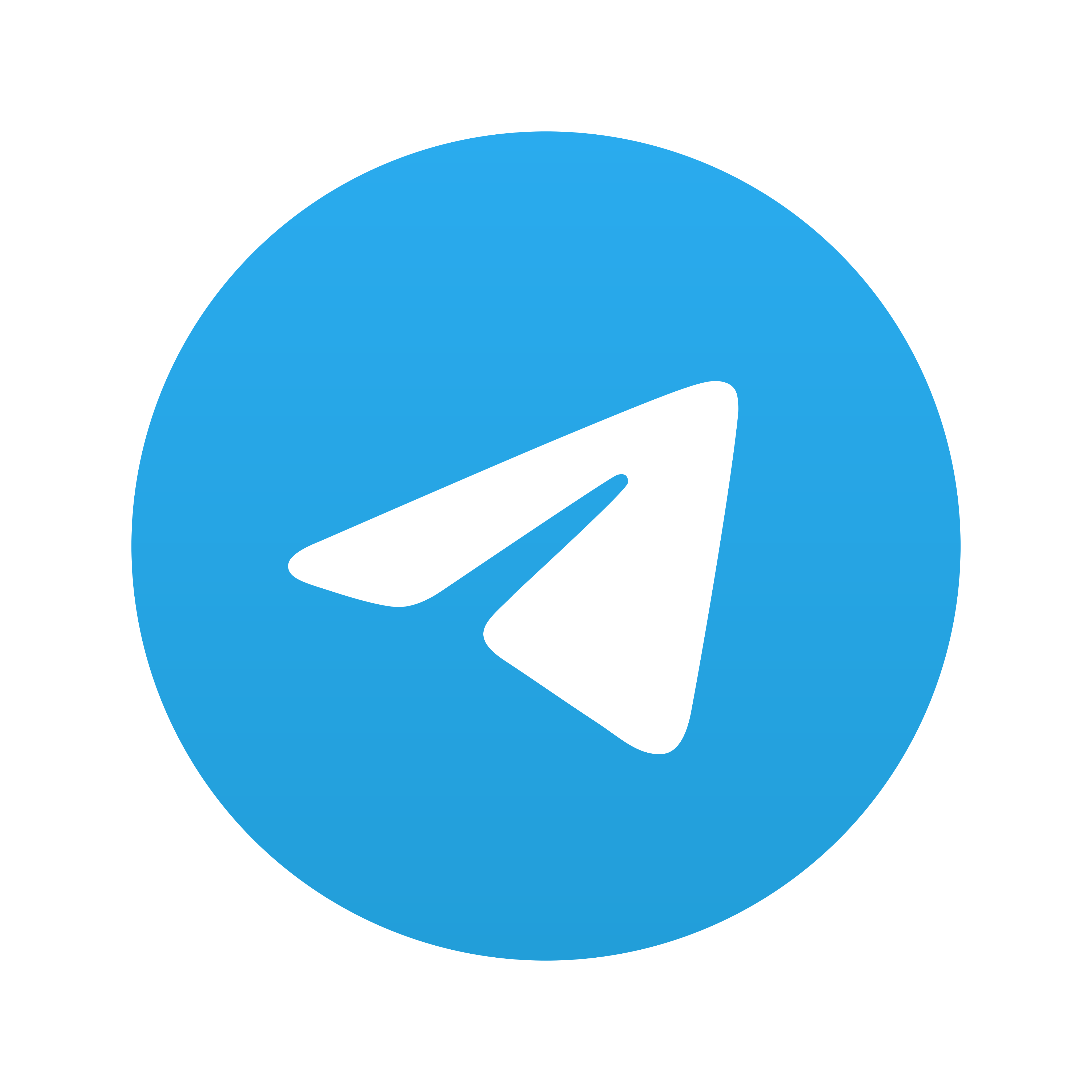 Telegram Icon